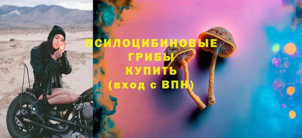 Альфа ПВП Ростов