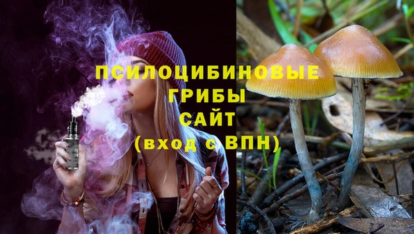 прущие грибы Армянск