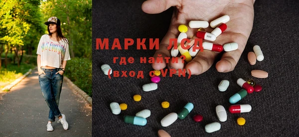 прущие грибы Армянск