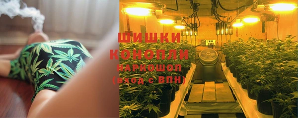 ПСИЛОЦИБИНОВЫЕ ГРИБЫ Аркадак