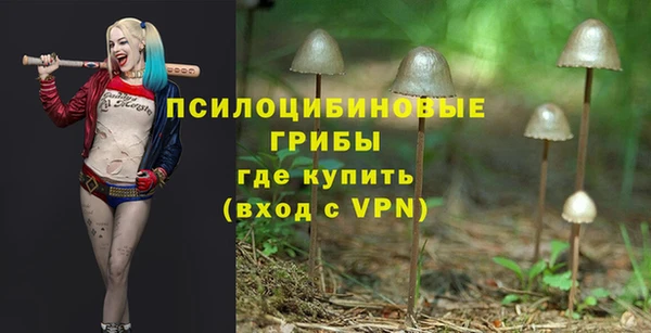первитин Арсеньев