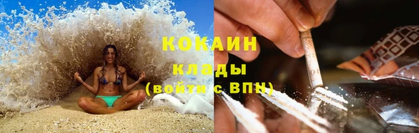 ПСИЛОЦИБИНОВЫЕ ГРИБЫ Аркадак