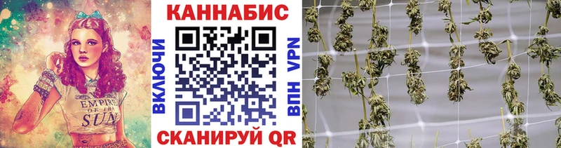 ОМГ ОМГ сайт  Мышкин  Конопля сатива  цены наркотик 